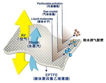 ePTFE material