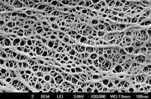 ePTFE Membrane Technology ePTFE membrane structure with temperature resistant performance