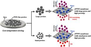 microporous ePTFE structure